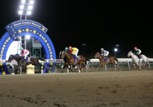 「門別・無料予想」 Jpn3 エーデルワイス賞